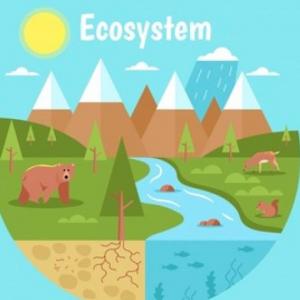Ecosistemas en México