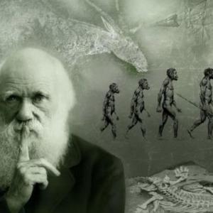 Pruebas de evolución y selección natural