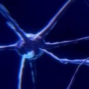 Imagen de portada del videojuego educativo: Tejido nervioso y muscular, de la temática Biología