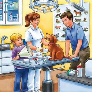 veterinaria 3