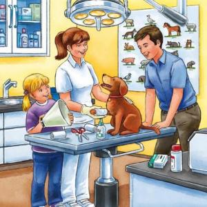 veterinaria 1