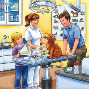 veterinaria