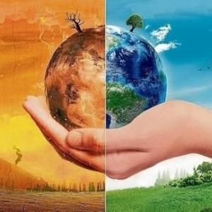 Verdadero o Falso Cambio Climatico