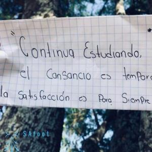 Todo marketing