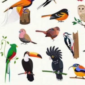 BIODIVERSIDAD