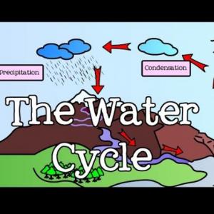 The Water Cycle