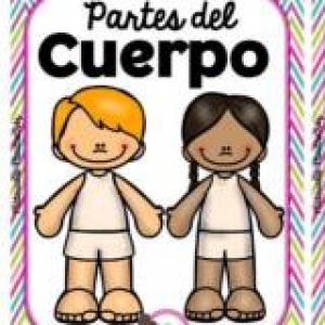 Partes del cuerpo