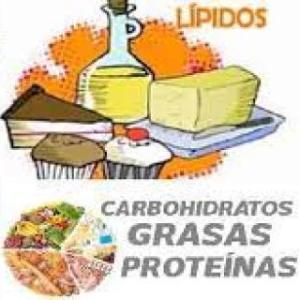 Glúcidos, Lípidos y Proteinas