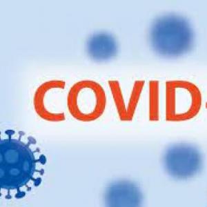 saber  covid