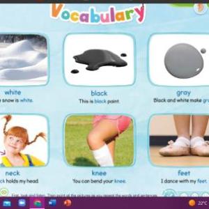 Vocabulary Unit 2