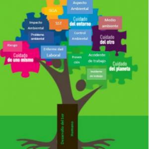 Términos relacionados con las políticas: Ambiental y de SST