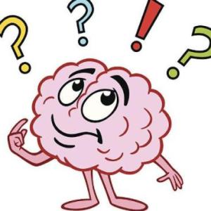 Trivia-Educación Superior