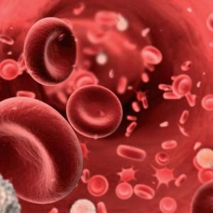 Tejido sanguíneo