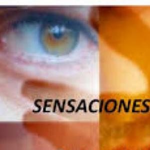 Juega aprende y localiza los Receptores somáticos