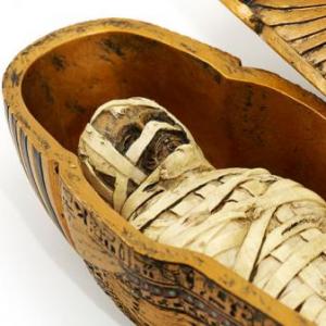The Ancient Egypt