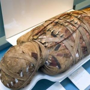 The Ancient Egypt