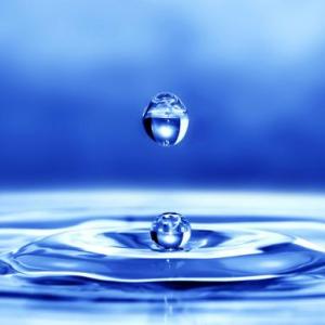 Juego Día Mundial del Agua