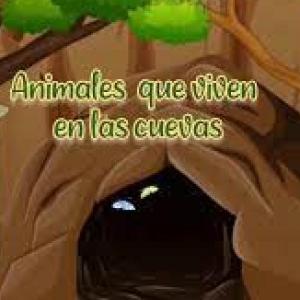 ¿Qué animales viven en las cuevas?
