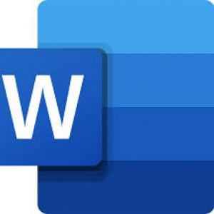 MS Word