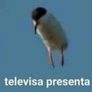 ¡Mitos¡