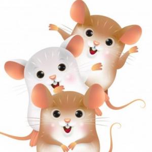 Listos para jugar ratoncitos?
