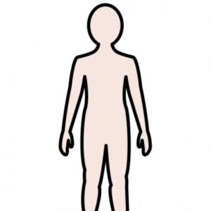 Partes del cuerpo