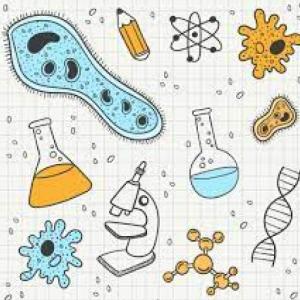 biologia2