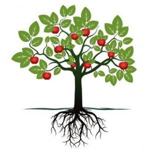 Let's learn about trees!