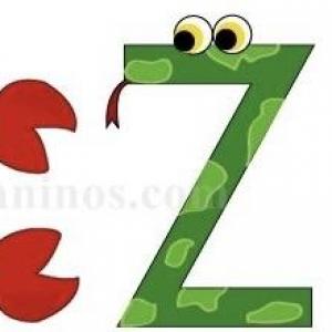 Uso de la C, S, y Z