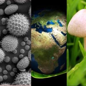 BIOLOGIA I