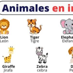 ANIMALS