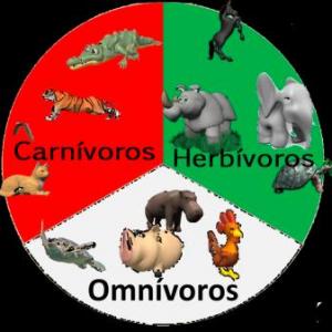 herbívoros carnívoros y omnívoros