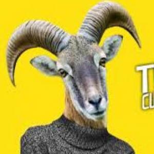 ANIMAL TRIVIA