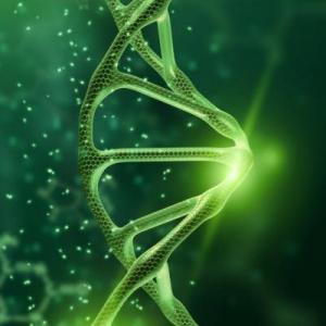 REPASO GENERAL PARA 2º AÑO - BIOLOGIA
