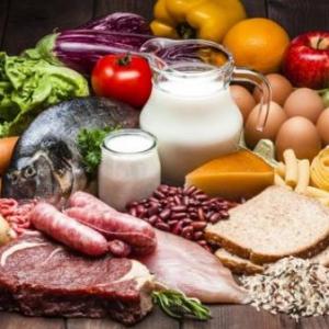 Conociendo alimentos