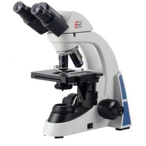 ¿Cómo ves las imagenes en el microscopio?