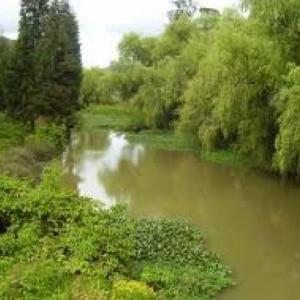 el rio bogota-proyecto steam-lenguaje