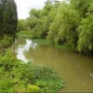 the bogota's river