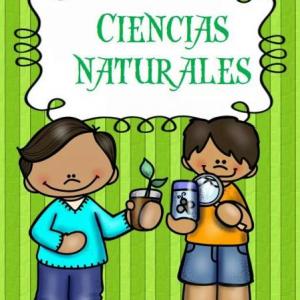 Nutri Humanos