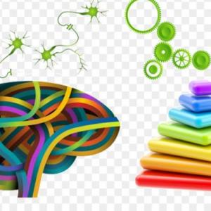 Sistemas de evaluación Internacional