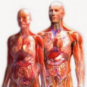 Patologías y anatomía