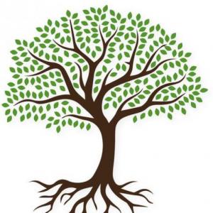 ARBOLES