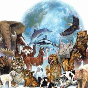 ¿Conoces los animales'