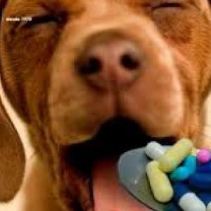 Formas farmaceuticas