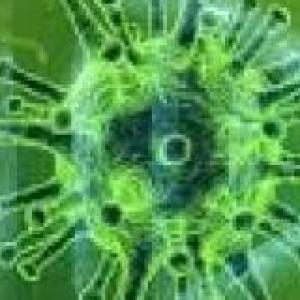 coronavirus la guerra del siglo