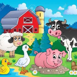 FARM ANIMALS 4