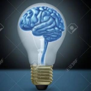 ENTRENANDO TU CEREBRO