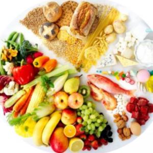 Los Nutrientes de los alimentos