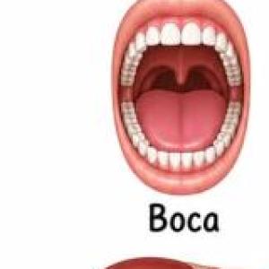 Portada del juego Aparato Digestivo. – Biología