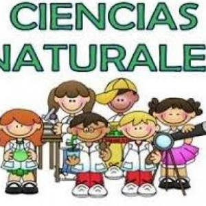 Trivia Ciencias Naturales 3do